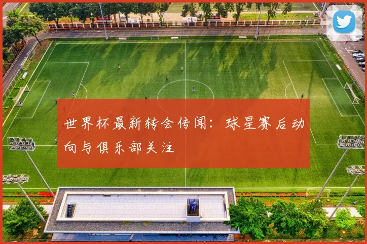 世界杯最新转会传闻：球星赛后动向与俱乐部关注