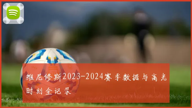 维尼修斯2023-2024赛季数据与高光时刻全记录